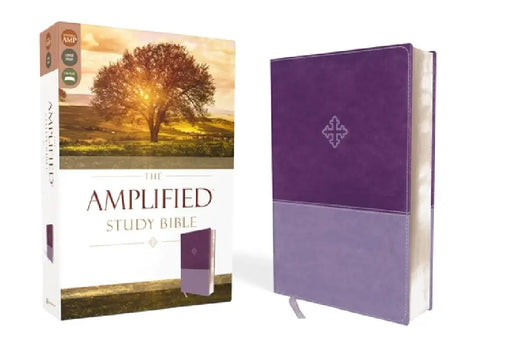 Amplified Study Bible, Imitation Leather, Purple by Zondervan