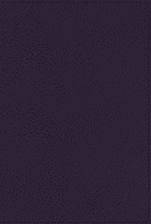 Niv, Thompson Chain-Reference Bible, Leathersoft, Navy, Thumb Indexed, Red Letter, Comfort Print by Frank Charles Thompson