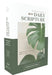 Niv, Daily Scripture, Super Giant Print, Paperback, White/Green, Comfort Print: 365 Days to Read Through the Whole Bible in a Year by Zondervan
