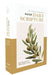 Nasb, Daily Scripture, Paperback, White/Olive, 1995 Text, Comfort Print: 365 Days to Read Through the Whole Bible in a Year by Zondervan
