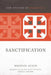 Sanctification: 2 by Michael Allen