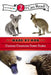 Curious Creatures Down Under: Level 2 by Zondervan