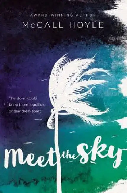 Meet the Sky by McCall Hoyle
