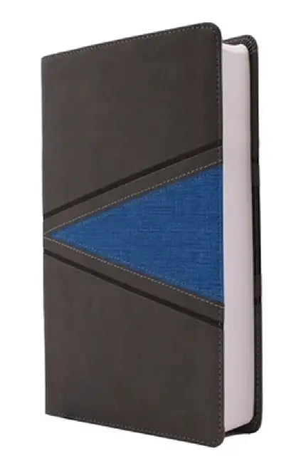 Niv, Boys Bible, Leathersoft, Gray/Blue, Comfort Print by Zondervan