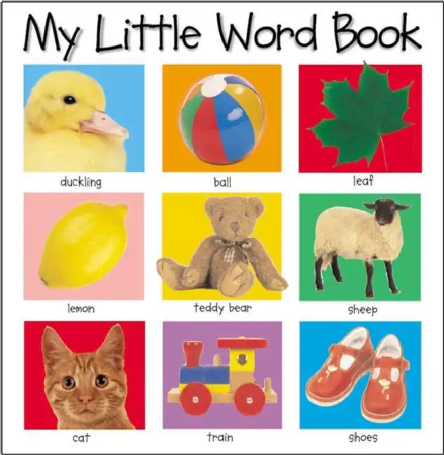 My Little Word Book by Roger Priddy