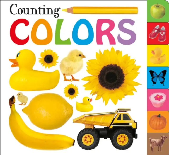 Counting Colors by Roger Priddy