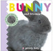 Bunny and Friends by Roger Priddy