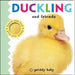 Duckling And Friends Touch And Feel by Roger Priddy