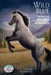 Wild Blue: The Story of a Mustang Appaloosa by Annie Wedekind