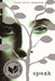 Speak by Laurie Halse Anderson
