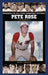 Pete Rose: A Biography by David M. Jordan