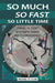So Much, So Fast, So Little Time: Coming to Terms with Rapid Change and Its Consequences by Michael St Clair