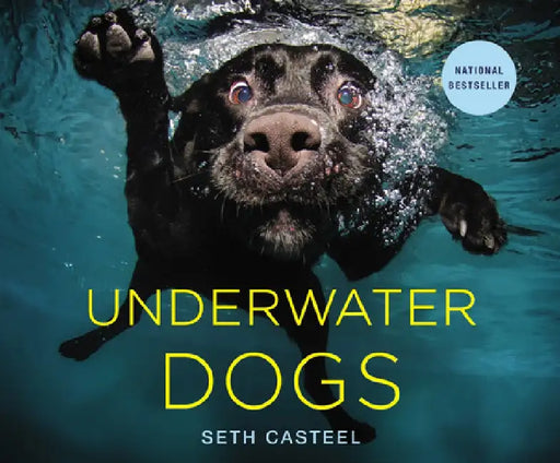 Underwater Dogs by Seth Casteel
