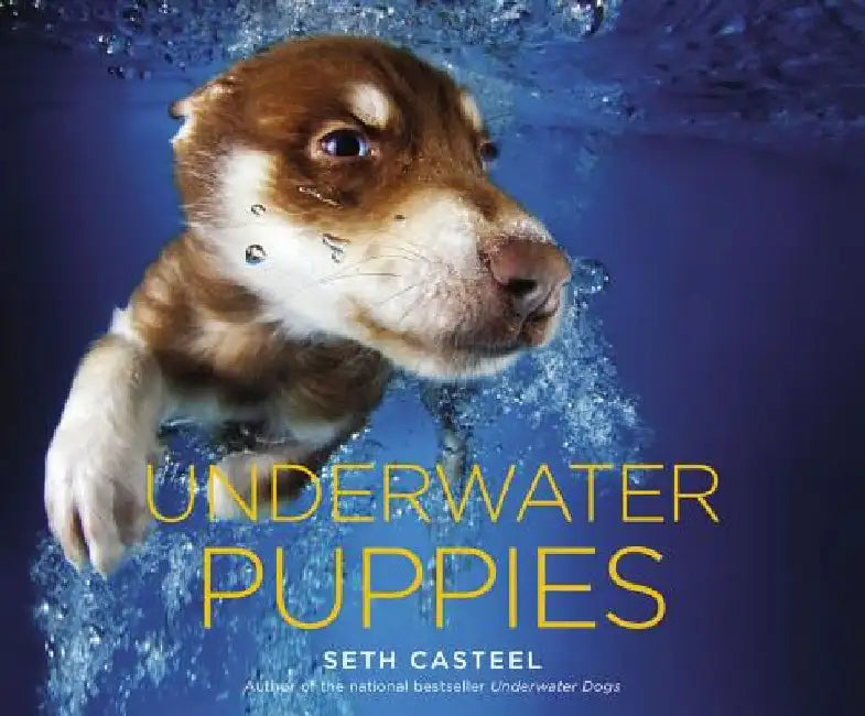Underwater Puppies by Seth Casteel