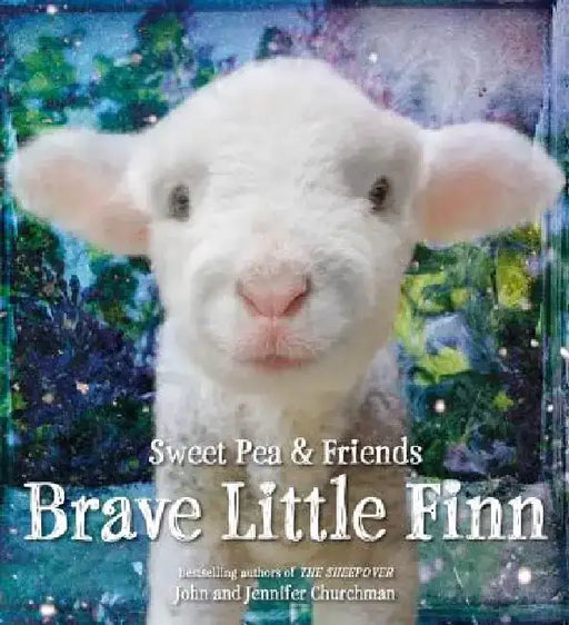 Brave Little Finn by Jennifer Churchman