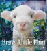 Brave Little Finn by Jennifer Churchman