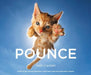 Pounce by Seth Casteel