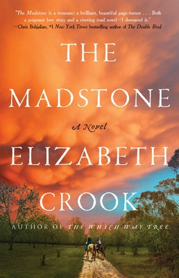 The Madstone by Elizabeth Crook