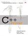 C++ Primer by Stanley B. Lippman