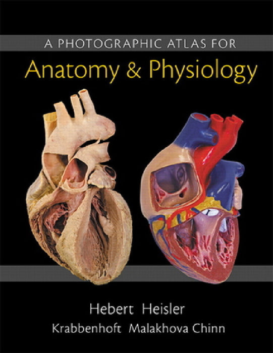 A Photographic Atlas for Anatomy & Physiology by Nora Hebert, Ruth Heisler, Karen Krabbenhoft