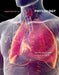 Experiments in Physiology by David Woodman, Gerald Tharp