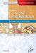 Netter's Concise Neuroanatomy Updated Edition by Michael A. Rubin