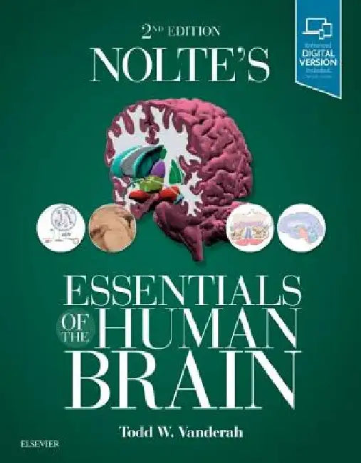 Nolte's Essentials of the Human Brain by Todd W. Vanderah
