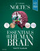 Nolte's Essentials of the Human Brain by Todd W. Vanderah