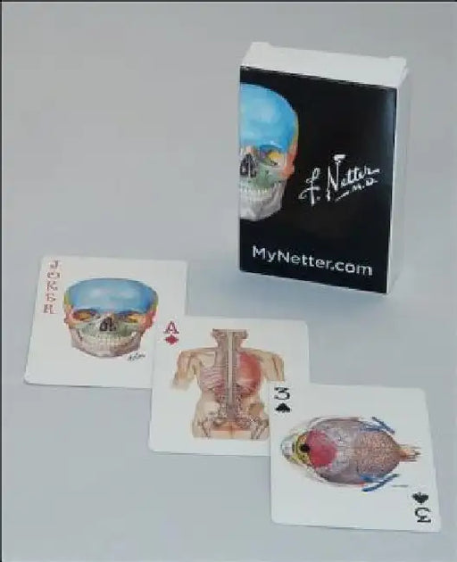 Netter Playing Cards: Netter's Anatomy Art Card Deck (Single Pack) by Frank H. Netter