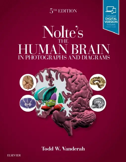 Nolte's the Human Brain in Photographs and Diagrams by Todd W. Vanderah