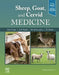 Sheep, Goat, and Cervid Medicine by David G. Pugh
