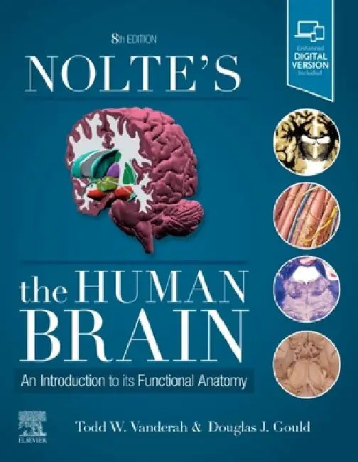 Nolte's the Human Brain: An Introduction to Its Functional Anatomy by Todd Vanderah
