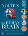 Nolte's the Human Brain: An Introduction to Its Functional Anatomy by Todd Vanderah