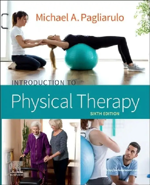 Introduction to Physical Therapy by Michael A. Pagliarulo