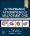 Intracranial Arteriovenous Malformations: Essentials for Patients and Practitioners by Philip E. Stieg