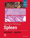 Diagnostic Pathology: Spleen by Aaron Auerbach
