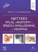 Netter's Atlas of Anatomy for Speech, Swallowing, and Hearing by David H. McFarland