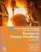 Treatise on Process Metallurgy: Industrial Plant Design and Process Modeling by Seshadri Seetharaman
