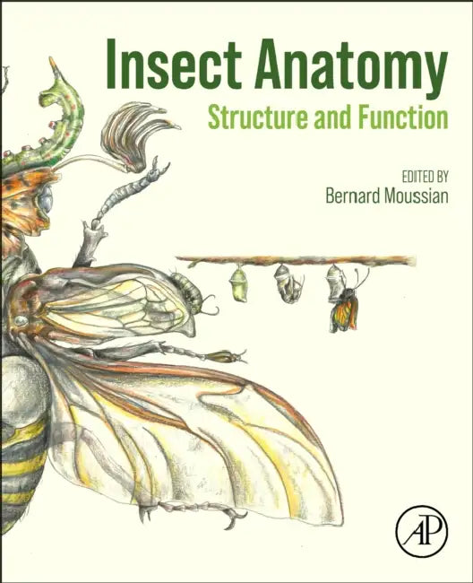 Insect Anatomy: Structure and Function by Bernard Moussian