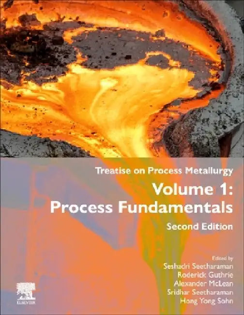 Treatise on Process Metallurgy: Process Fundamentals by Seshadri Seetharaman