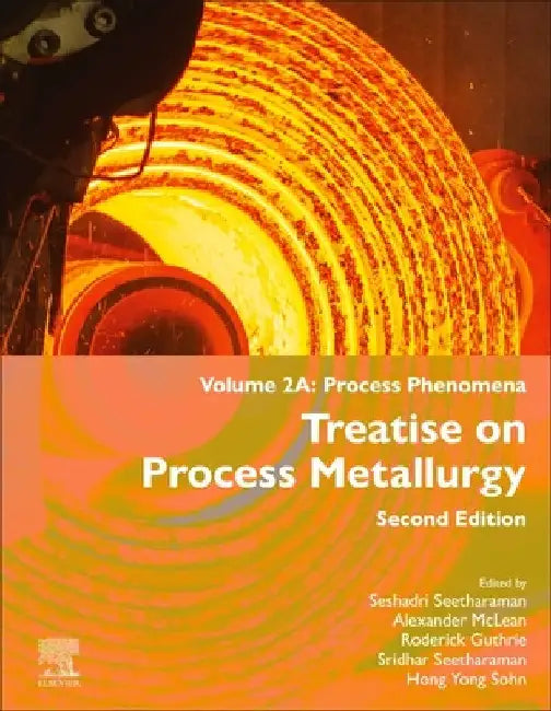 Treatise on Process Metallurgy: Volume 2a: Process Phenomena by Seshadri Seetharaman