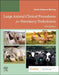 Large Animal Clinical Procedures for Veterinary Technicians: Husbandry, Clinical Procedures, Surgical Procedures, and Common Diseases by Kristin J. Holtgrew-Bohling