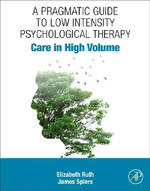 Care in High Volume: A Pragmatic Guide to Low Intensity Psychological Therapy by Elizabeth Ruth