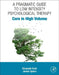 Care in High Volume: A Pragmatic Guide to Low Intensity Psychological Therapy by Elizabeth Ruth