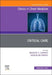 Critical Care, an Issue of Clinics in Chest Medicine: Volume 43-3 by Gregory A. Schmidt, Jacqueline Kruser