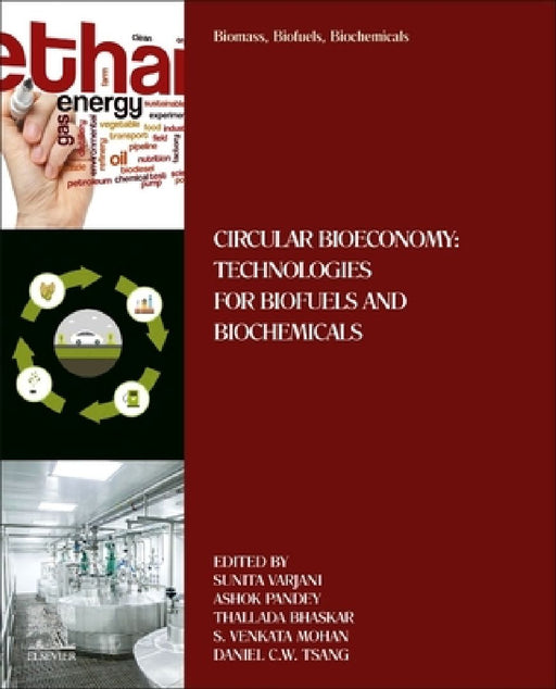 Biomass, Biofuels, Biochemicals: Circular Bioeconomy: Technologies for Biofuels and Biochemicals by Sunita Varjani