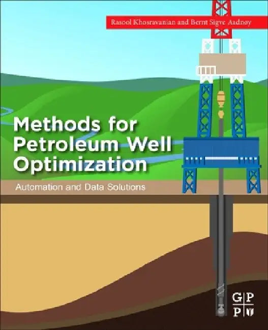 Methods for Petroleum Well Optimization: Automation and Data Solutions by Rasool Khosravanian