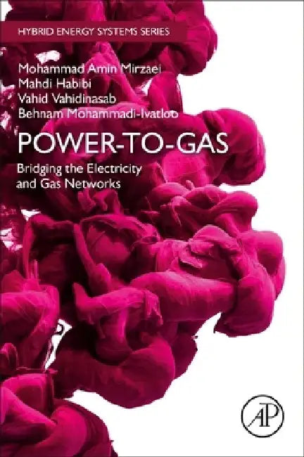 Power-to-Gas: Bridging the Electricity and Gas Networks by Mohammad Amin Mirzaei