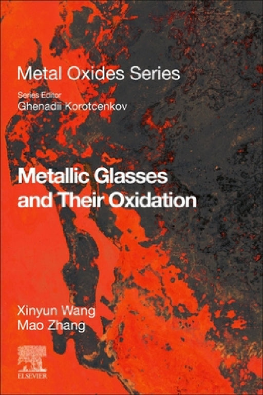 Metallic Glasses and Their Oxidation by Xinyun Wang, Mao Zhang
