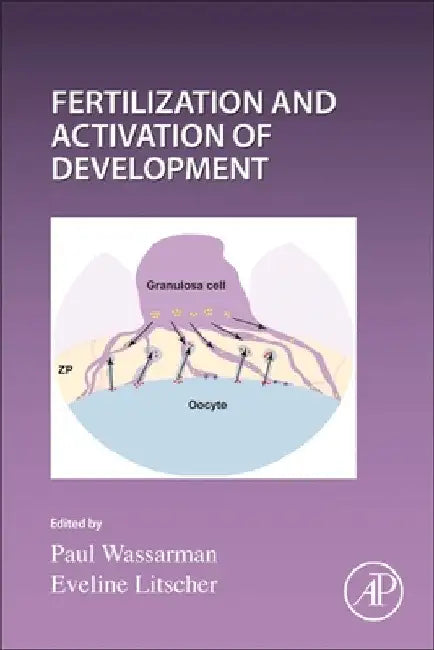 Current Topics in Developmental Biology: Fertilization and Activation of Development Volume 162 by Paul Wassarman